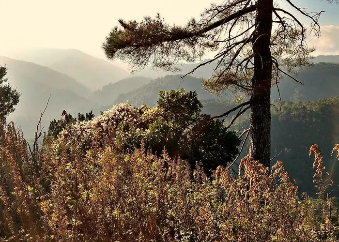 Mas Mialou Apartamento