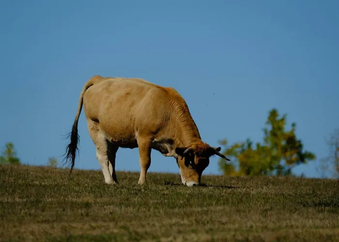 Mas Mialou Saint-Jean-du-Gard